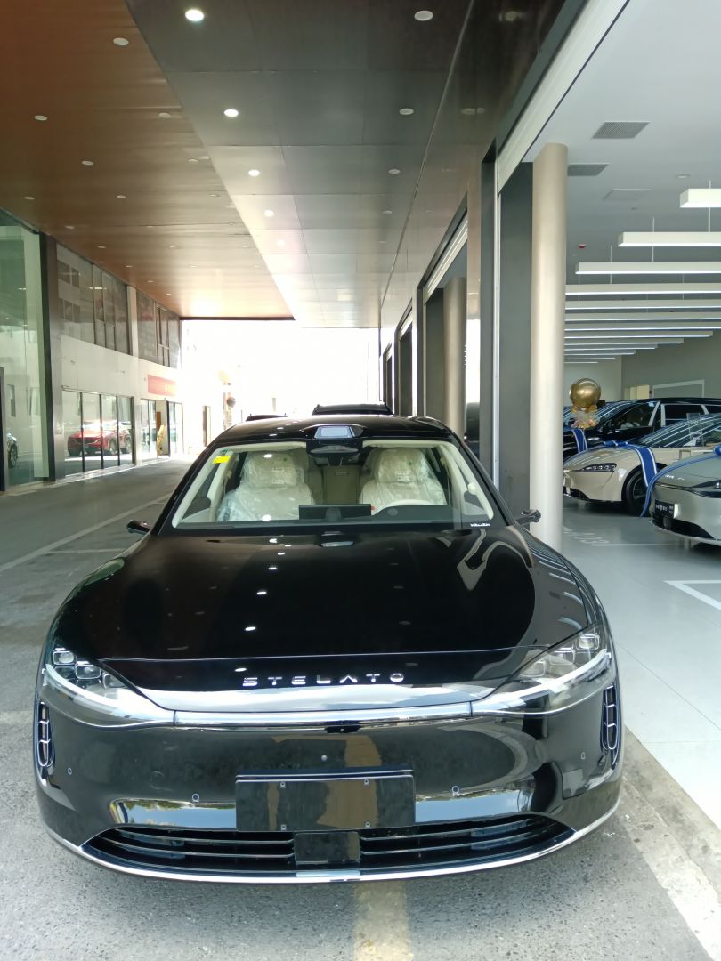 赛力斯享界S9装贴M9-钻石系列车衣9.5