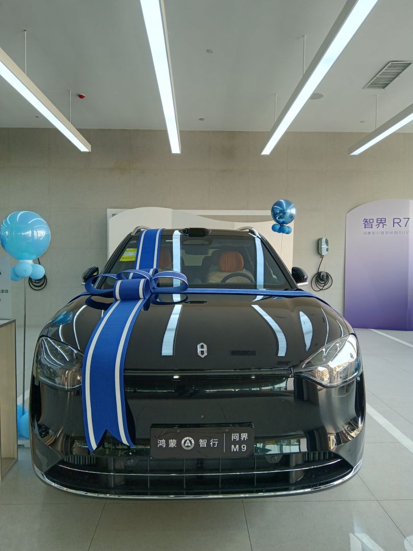 赛力斯问界M9装贴M9-钻石系列车衣9.5