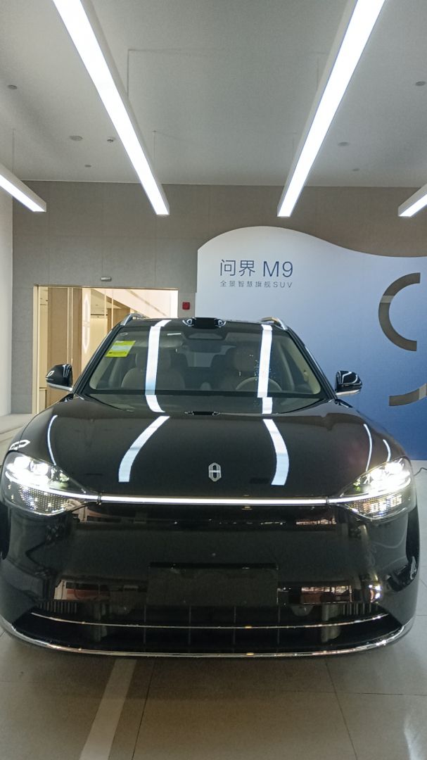 赛力斯问界M9装贴M9-钻石系列车衣9.5
