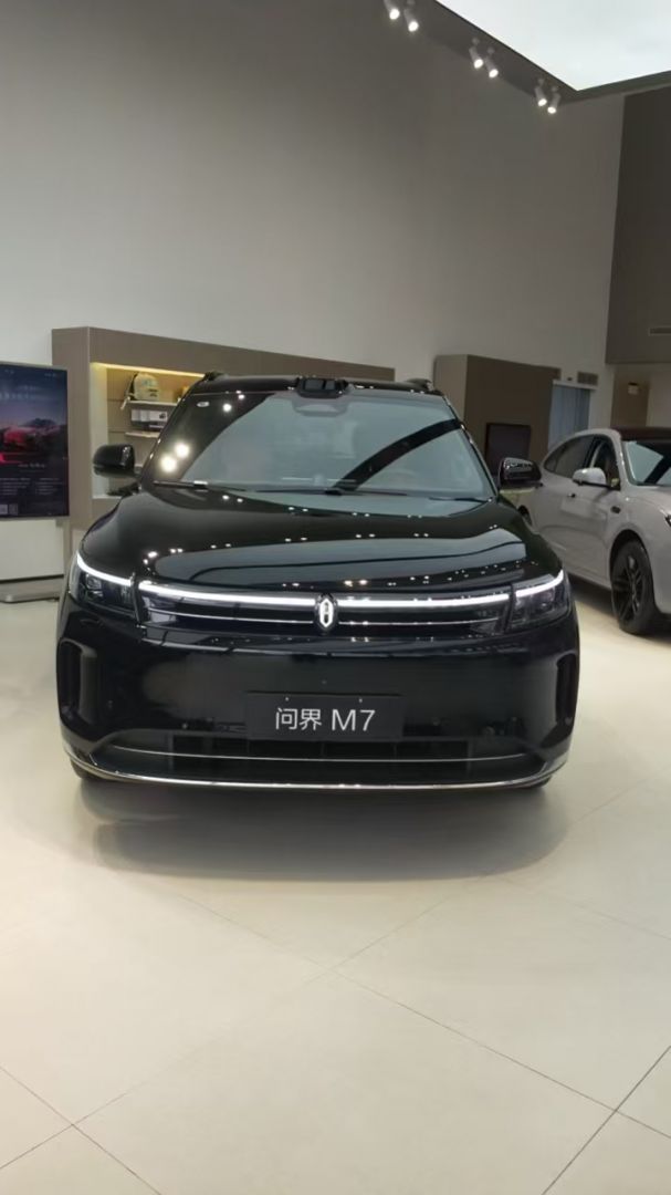 赛力斯问界M7装贴M9-钻石系列车衣9.5