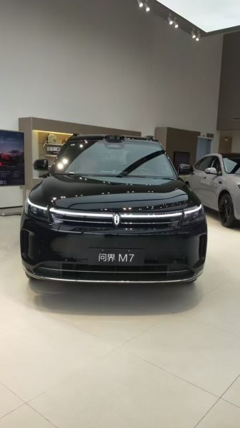 赛力斯问界M7装贴M7-钻石系列车衣7.5