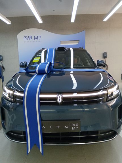 赛力斯问界M7装贴M8-钻石系列车衣8.5