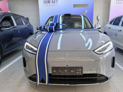 赛力斯问界M5装贴M7-钻石系列车衣7.5