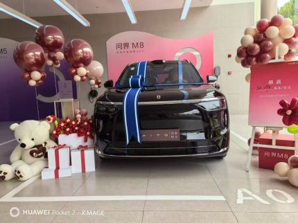 赛力斯问界M8装贴M6-钻石系列车衣6.5