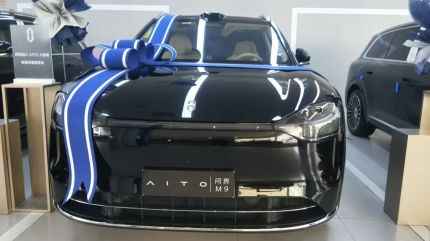 赛力斯问界M9装贴M9-钻石系列车衣9.5