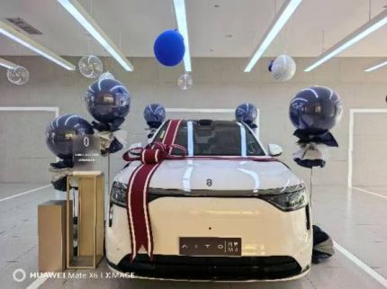 赛力斯问界M8装贴M8-钻石系列车衣8.5