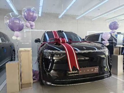 赛力斯问界M8装贴M7-钻石系列车衣7.5